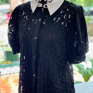 Jealous Tomato Black Lace Blouse with White Collar